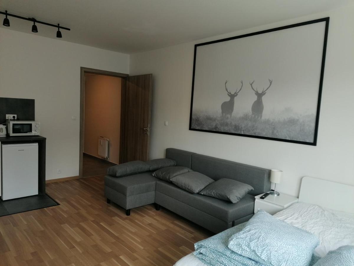 Brand New Studio Apartment #21 With Free Secure Parking In The Center Πράγα Εξωτερικό φωτογραφία